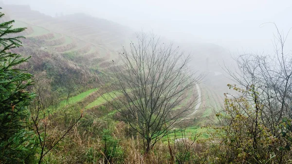雾中的水稻梯田山的看法 — 图库照片
