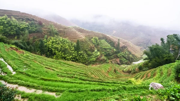 View of wet terraced rice gardens from Tiantouzhai — Stock Photo, Image