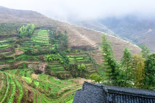 view from Tiantouzhai village terraced fields