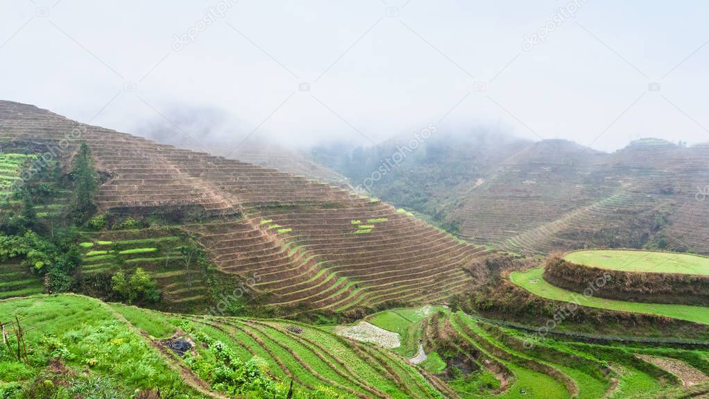 above view of terraced rice grounds on hills