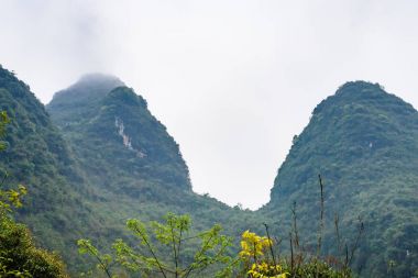 Yeşil karstik doruklarına bahar Yangshuo County