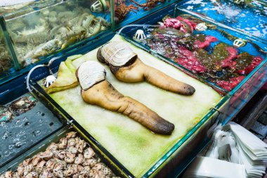 geoduck istiridye balık pazarında Guangzhou City