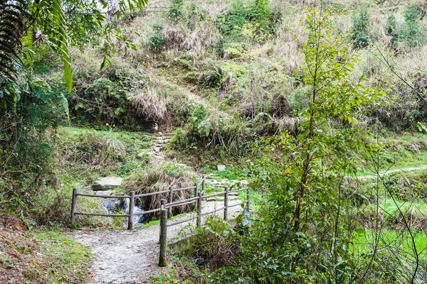 Brug over creek in het regenwoud van Dazhai land — Stockfoto