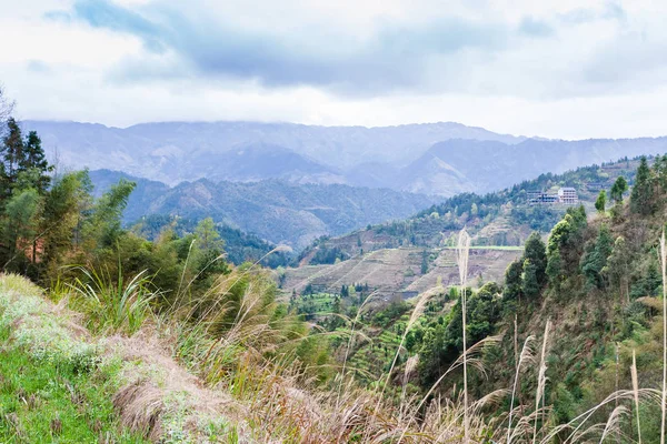 Blick auf das Dazhai-Land vom grünen Berg — Stockfoto