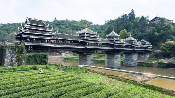 Campo da tè e Chengyang vento e ponte di pioggia — Foto Stock