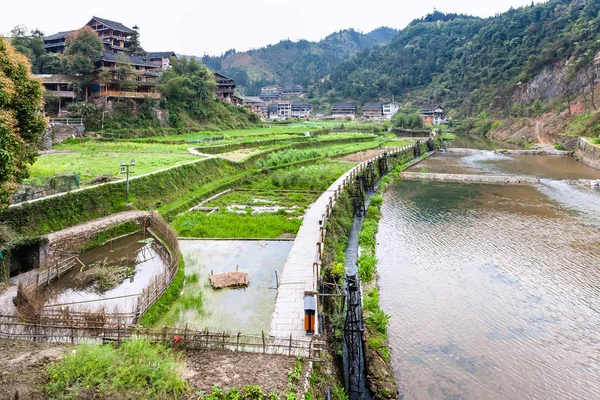 Canal de riego y arrozales en Chengyang —  Fotos de Stock