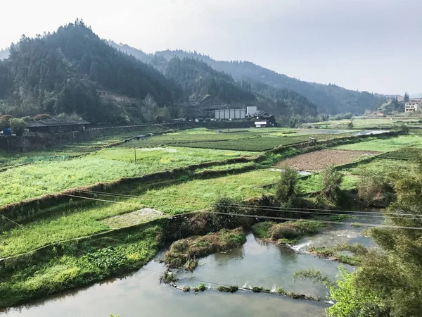 Vista de arrozales cerca del río en Chengyang —  Fotos de Stock