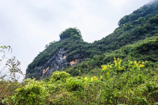 overgrown rock of karst mountain in Yangshuo