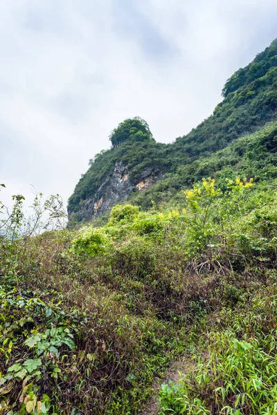 杂草丛生的阳朔岩溶山区坡 — 图库照片