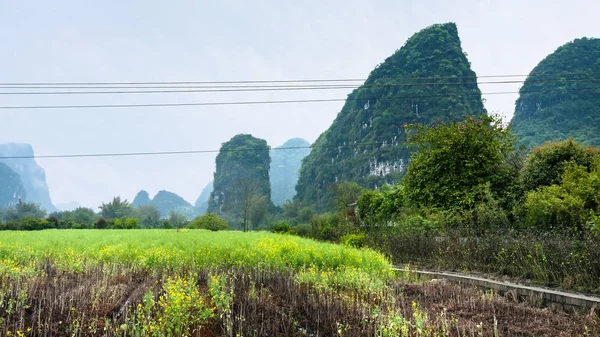 Plantation nära karst berg i Yangshuo — Stockfoto