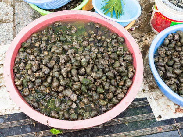 Escargots de rivière locaux sur le marché extérieur de rue — Photo