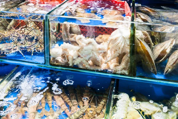 Осьминог, креветки на рыбном рынке в городе Гуанчжоу — стоковое фото
