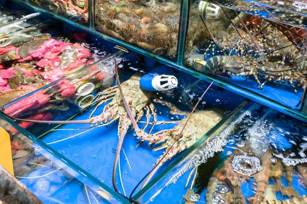 Caranguejos, lagosta espinhosa no mercado de peixe em Guangzhou — Fotografia de Stock