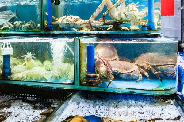 Καβούρια και γαρίδες στην ψαραγορά στην πόλη Guangzhou — Φωτογραφία Αρχείου