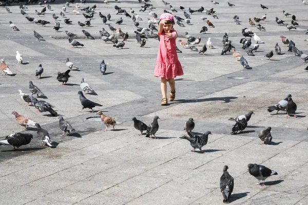 Chica persiguiendo palomas en plaza urbana en Atenas — Foto de Stock