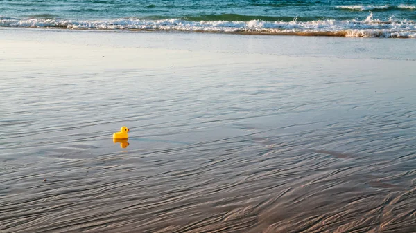 玩具小鸭在晚上退潮的沙滩上 — 图库照片