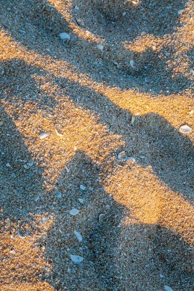 Sand mit Muscheln am Strand bei Sonnenuntergang — Stockfoto