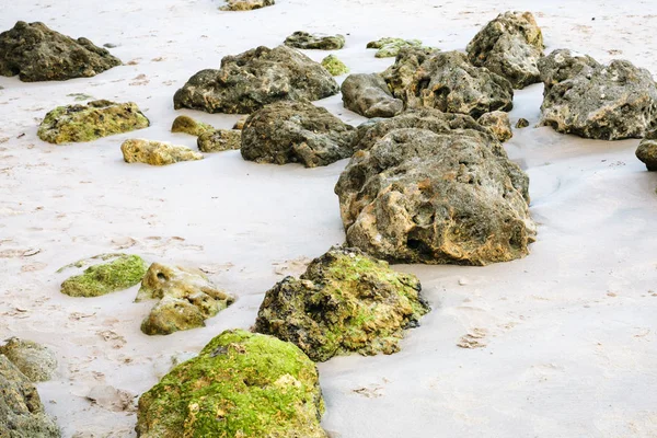 Coquina stenen in zand op het strand van de Atlantische Oceaan — Stockfoto