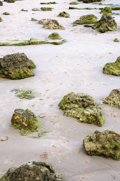 Limestone rocks in sand on beach of Atlantic Ocean — Stock Photo, Image