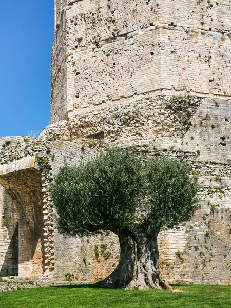 Antiguo Tour (torre) Magne en la ciudad de Nimes — Foto de Stock