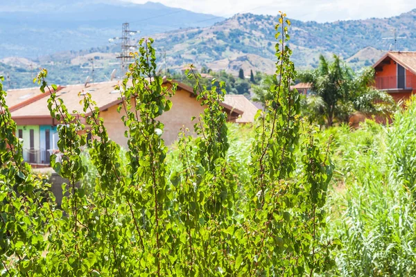 Huis en groene tuin in Giardini Naxos stad — Stockfoto