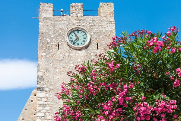 Zakkum ağacı ve Taormina Ortaçağ Saat Kulesi — Stok fotoğraf