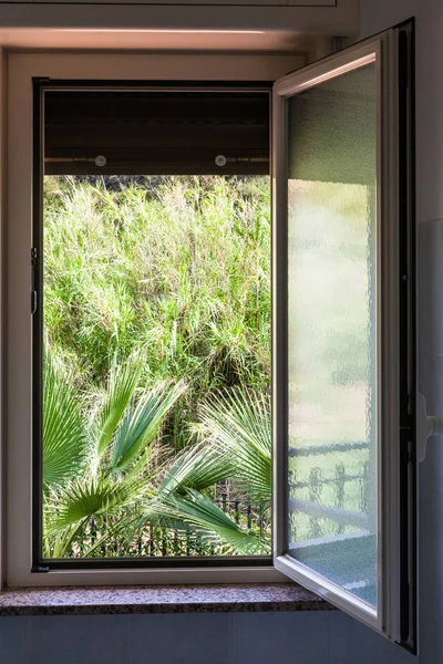 Vue du jardin vert depuis la fenêtre ouverte de la maison — Photo