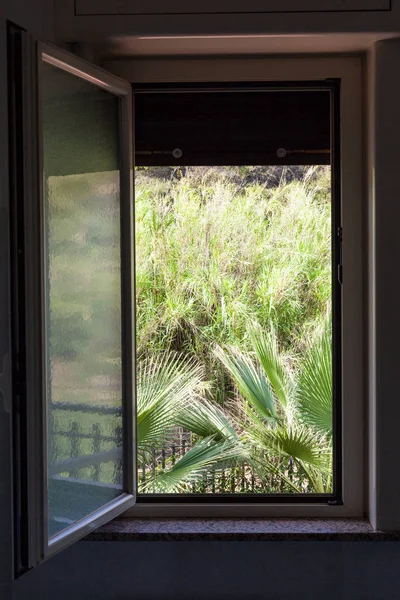 View of green backyard from open home window — Stock Photo, Image