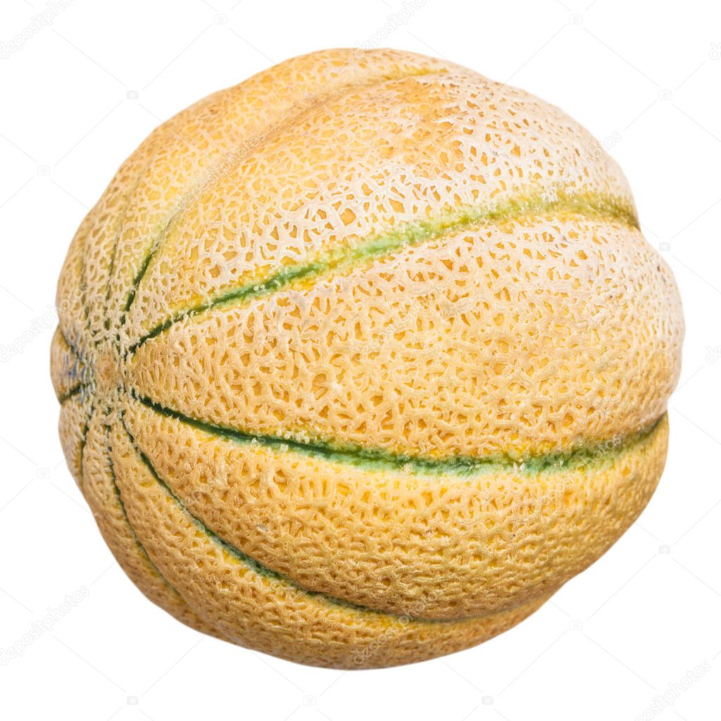 ripe sicilian cantaloupe melon isolated