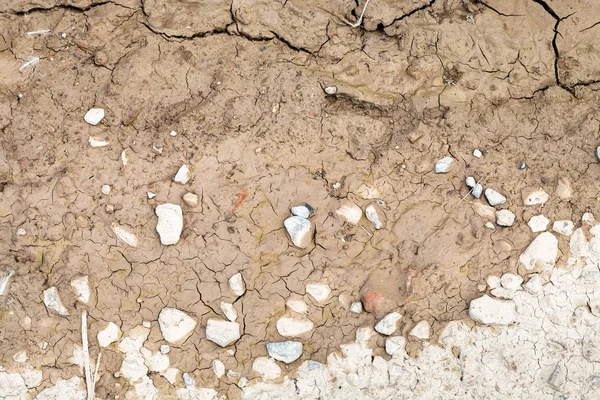 Bottom of dried puddle on country road — Stock Photo, Image