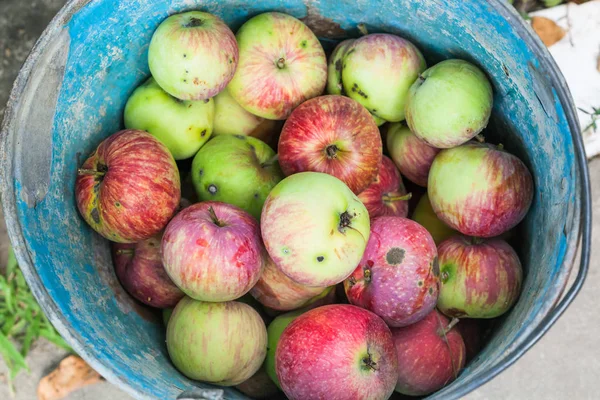 Blick von oben auf Eimer mit frischen Äpfeln — Stockfoto