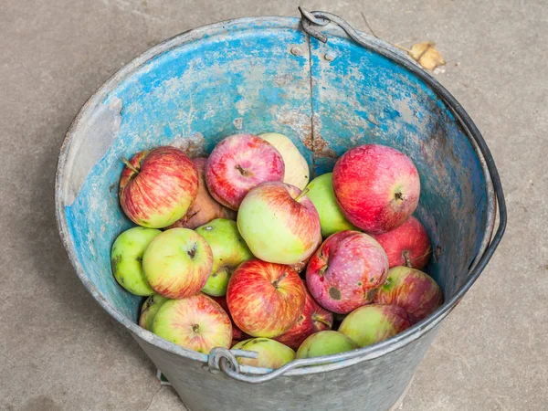 Blick auf Eimer mit frischen Äpfeln — Stockfoto