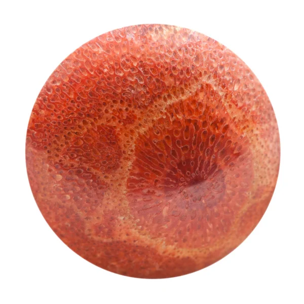 Sphère de corail rouge pressé isolé — Photo