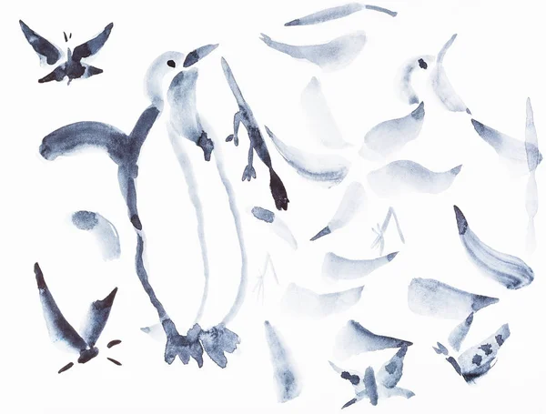 Penguen ve çeşitli kuşlar çizimler — Stok fotoğraf