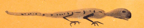 주황 색 종이 위에 도마뱀의 스케치 — 스톡 사진