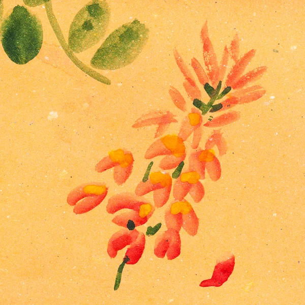 Цветок вистерии на бумаге оранжевого цвета — стоковое фото
