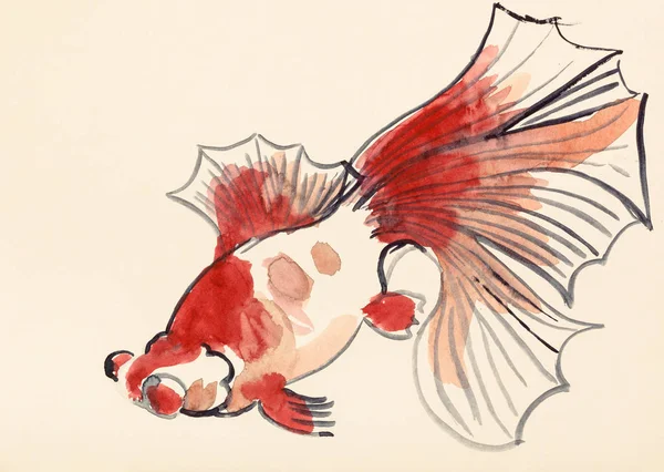 Red goldfish on ivory colored paper — Stock Photo, Image