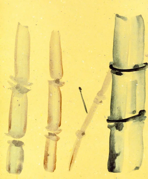 대나무 줄기의 스케치 — 스톡 사진
