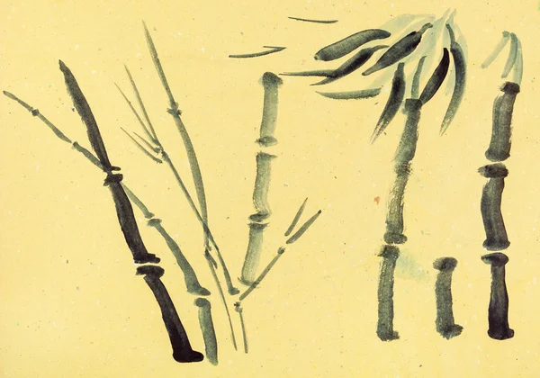 Эскизы трости и пальмы — стоковое фото