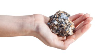 kadın Palm'da maden cevheri yan görünüm