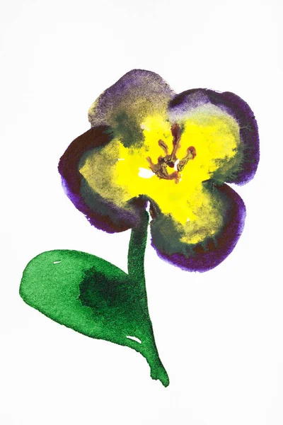 Flor pansy pintada a mano sobre papel blanco — Foto de Stock