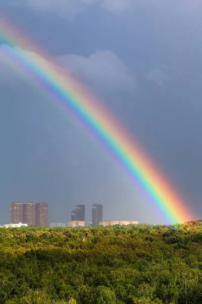 在城市和绿色的树木的灰色天空中彩虹 — 图库照片