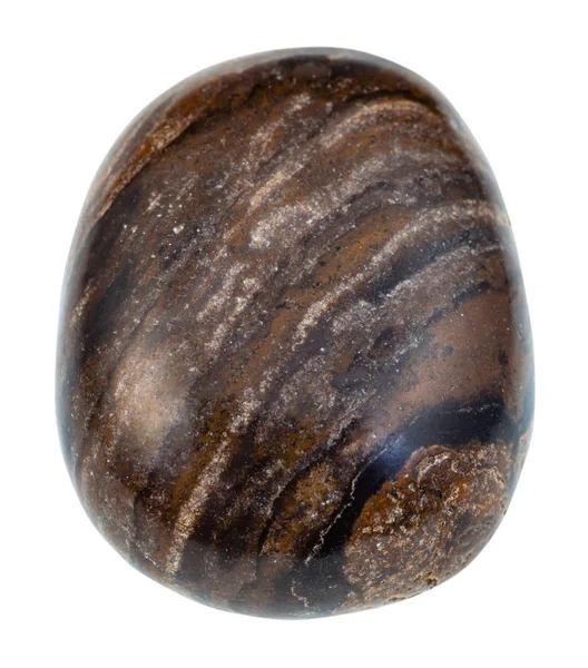 Pebble of stromatolite gemstone from Peru isolated — Stock Photo, Image