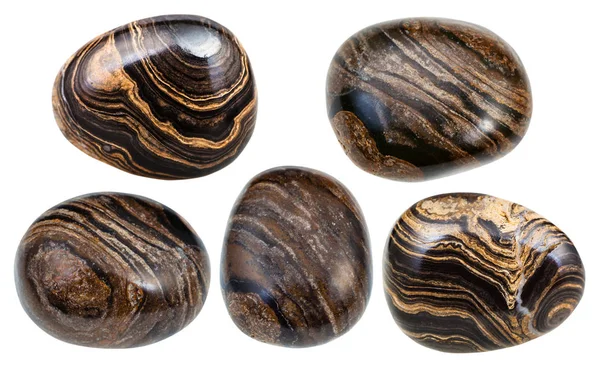 Várias pedras preciosas estromatolita (estromatólito) — Fotografia de Stock