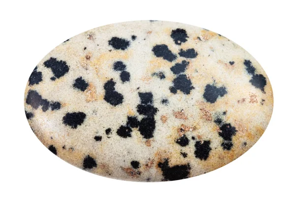 Cabochon of Dalmatian Stone gemstone isolated — Stock Photo, Image