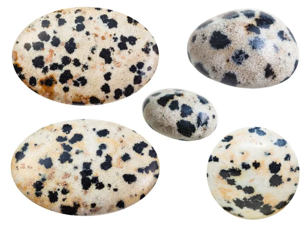 Zwaliło różne naturalne mineralne dalmatyńskim kamień — Zdjęcie stockowe