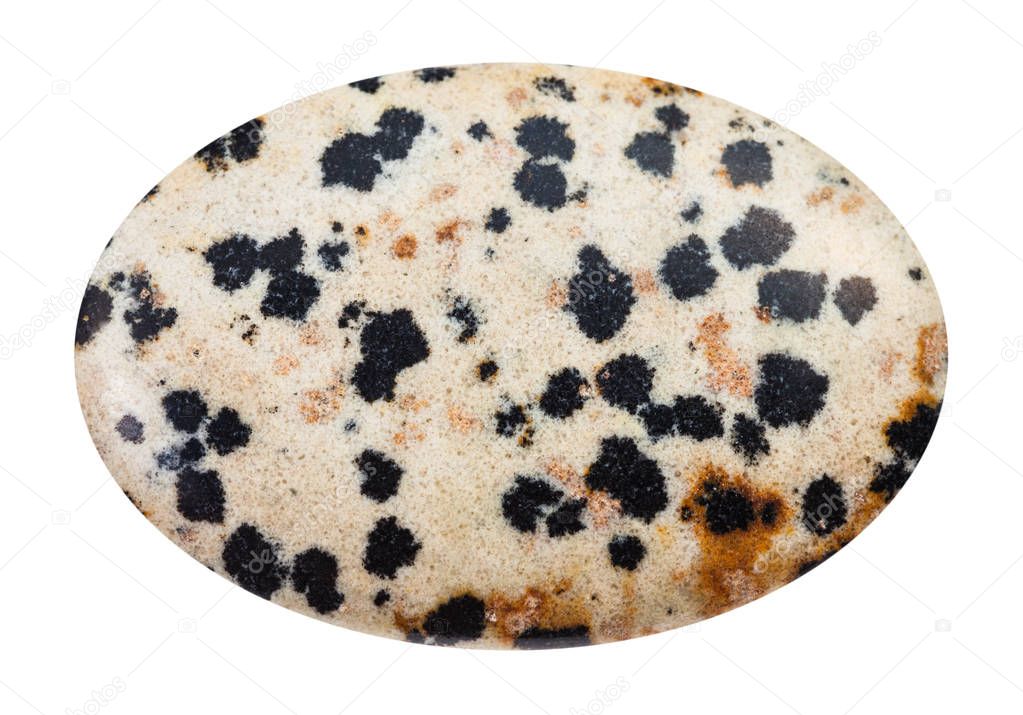 tumbled Dalmatian Stone gemstone isolated