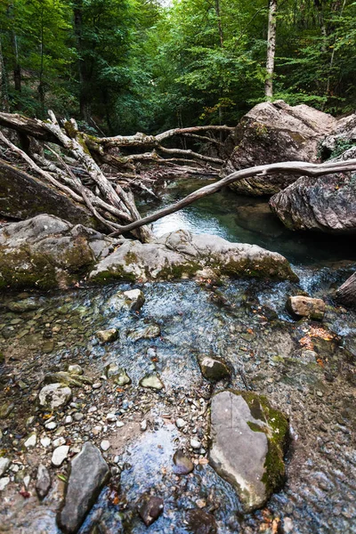 Lagoa por causa de árvores caídas no rio Ulu-Uzen — Fotografia de Stock