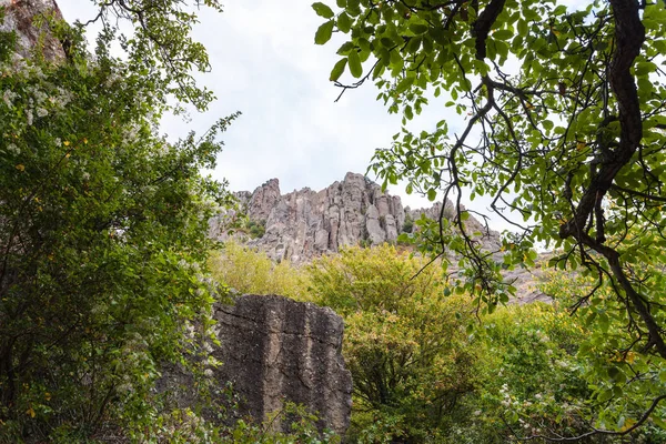 Vista das rochas da Montanha Demerdzhi do parque — Fotografia de Stock