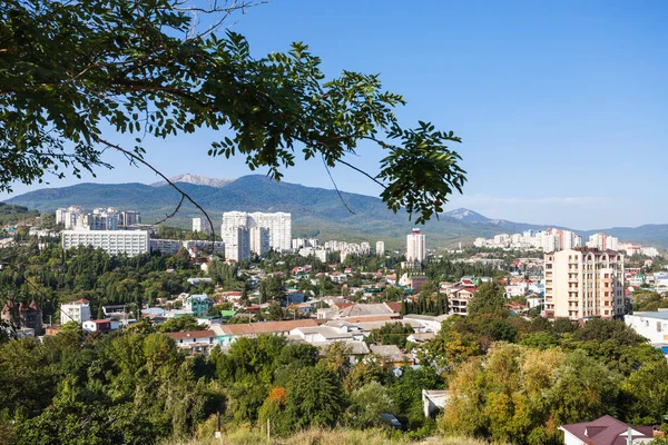 Branche d'arbre vert et vue sur la ville d'Aloushta — Photo